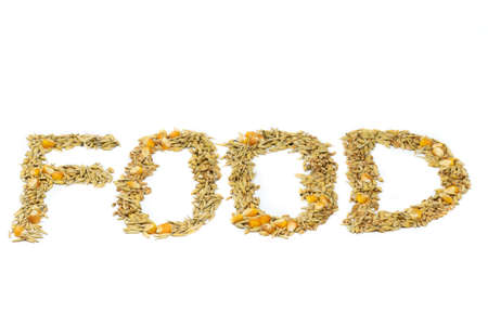 Different types of wheat grains isolated on white backgrounsの写真素材