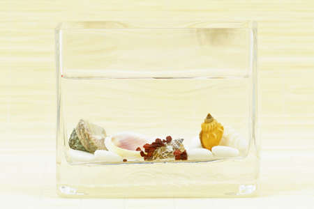 Squared decorative vase as a table decoration with shells and pebblesの写真素材