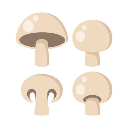 Champignon vector clipart icons. Edible mushrooms cartoon. Mushroom.のイラスト素材