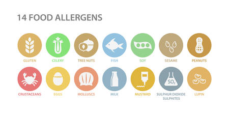 14 food allergens menu list circle icon set. Food allergen white icons in pink circles. Gluten, eggs, milk, nuts allergy vector icons.のイラスト素材