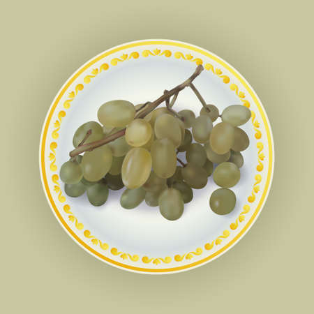 Bunch of white grapes on plate vector illustrationのイラスト素材