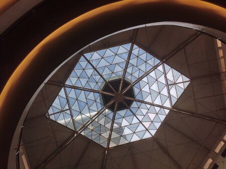 Ceiling design inspired by the eye の素材
