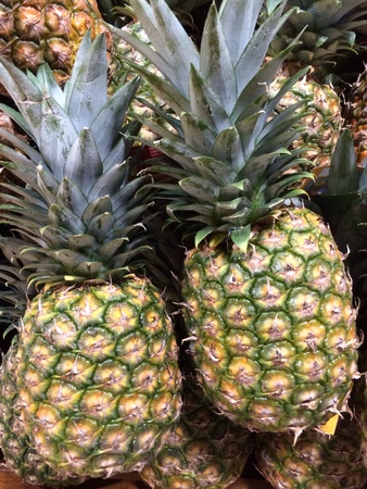 Closeup of fresh uncut pineapplesの素材