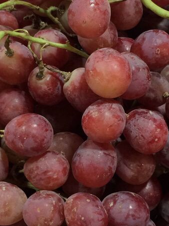 Closeup of red grapesの素材
