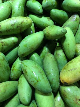 Fresh green mangoesの素材