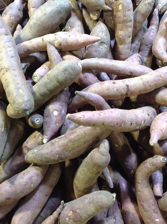 Japanese sweet potatoes for sale at supermarketの素材