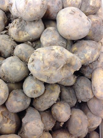 Fresh potatoes for sale at supermarketの素材