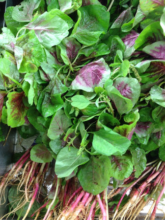 Fresh green spinach for sale at supermarket
