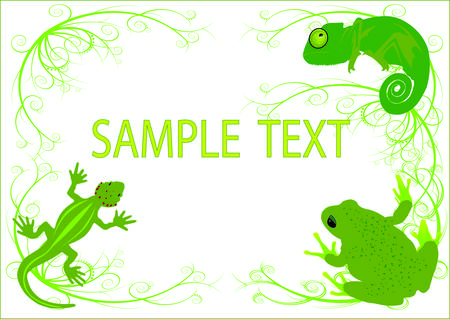  reptile backgroundのイラスト素材