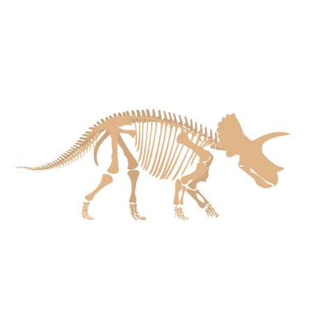 Cartoon dinosaur fossilのイラスト素材