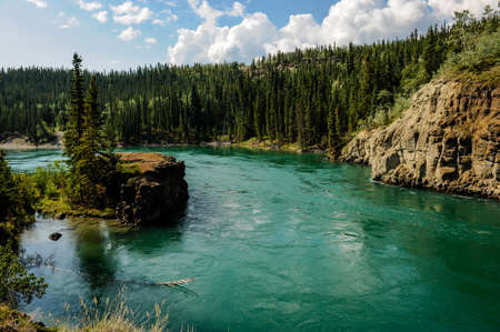 yukon river near white horseの写真素材