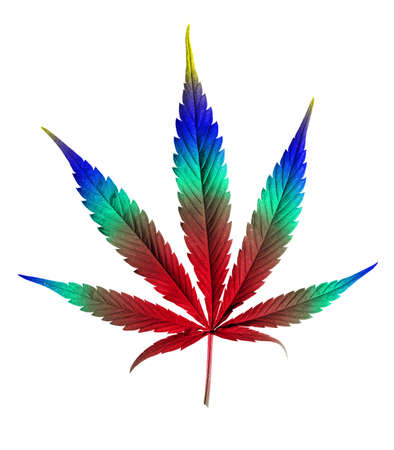 colorful cannabis leaf isolated on white backgroundの写真素材