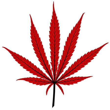 red cannabis leaf with main leaf veins in black isolated on whiteの写真素材