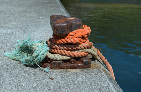 pollard with green and orange cords