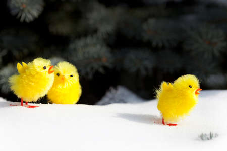 Happy Easterの写真素材