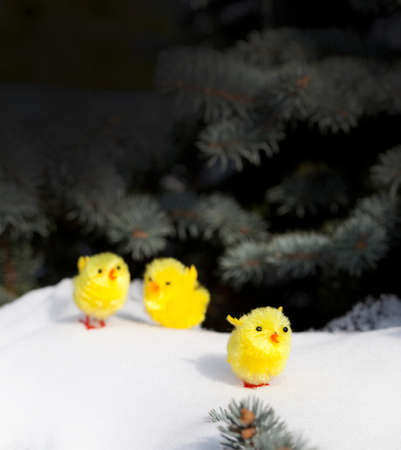 Easterの写真素材