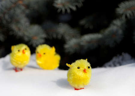 Easterの写真素材