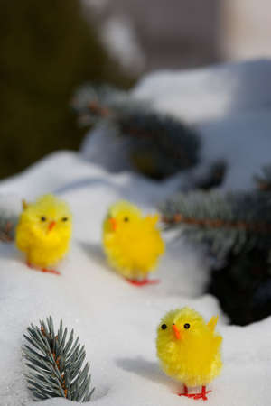 Happy Easterの写真素材