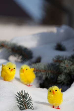 Easterの写真素材