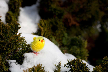 Easterの写真素材