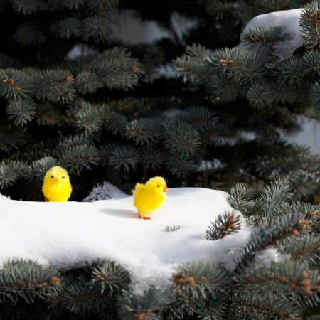 Easterの写真素材