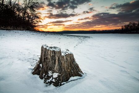 A weathered tree trunk at sunrise at Blue Marsh Lake on a freezing winter morningの写真素材