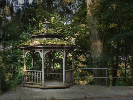 A moss-covered gazebo sits camouflaged in a patch of woodsの写真素材
