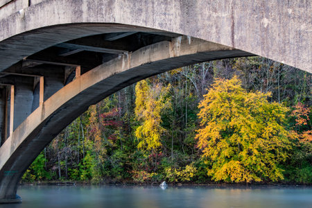 One curved arch of a cement bridge closed to traffic with bright fall foliage in the background
