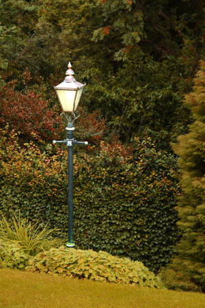 A Lit Lamppost appearing to grow in the gardenの写真素材