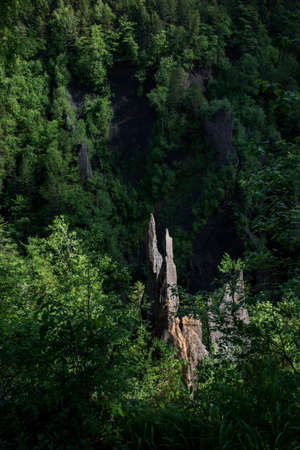 Tall rocks in a forestの写真素材