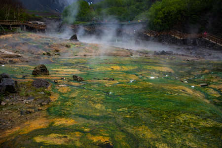 Moss growing on wet groundの写真素材