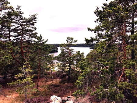 natural sceneryの素材