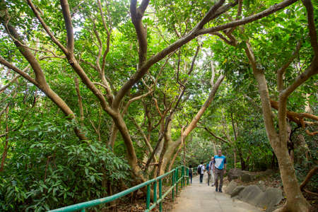 Tourists walk along the track of Lamma Island, Hong Kongのeditorial素材