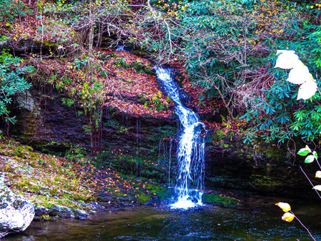 All pictures were taken in the Smokey Mountains!の写真素材