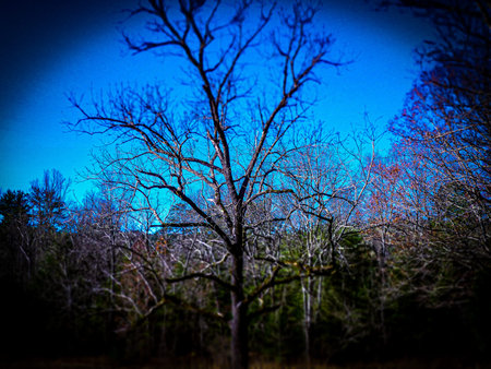 All the photos are taken in the Smokey Mountains ,Tennessee ,West Virginia and North Carolina.