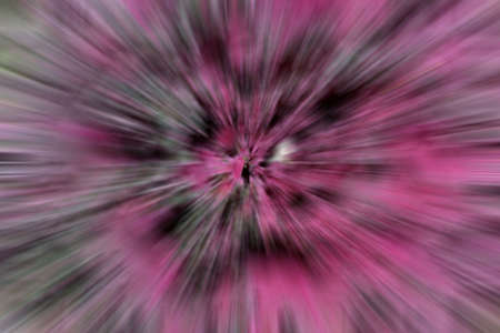 Purple backgroundの写真素材