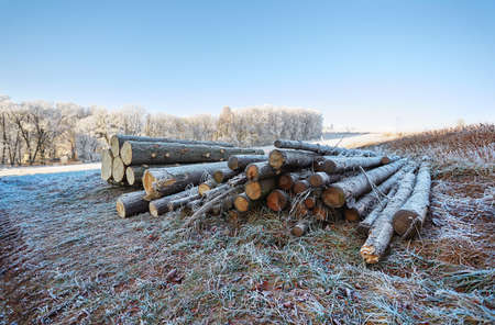 Winter countryside with frozen logs and view with frozen trees and grass fieldの写真素材