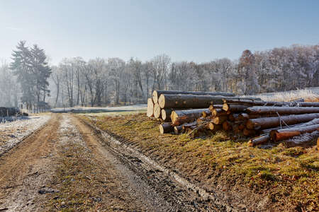 Countryside dirt road woods fields and trees near villageの写真素材