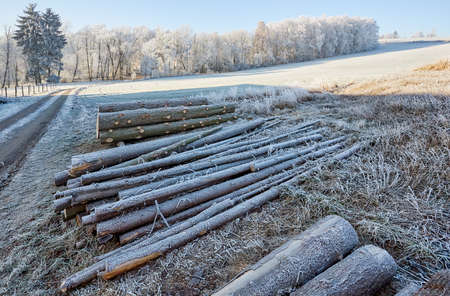 Countryside logs with frozen fields and trees with dirty roadの写真素材