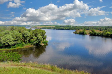 Summer landscape. Green trees reflected in the Dnieper river near the Zaporizhye city.