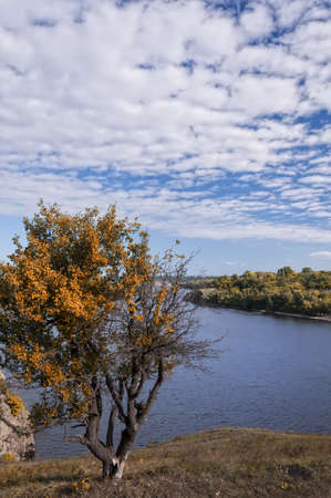 View on autumn landscape of river and trees in sunny dayの写真素材