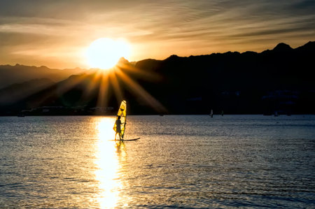 Windsurfer sailing in the sea at sunset.