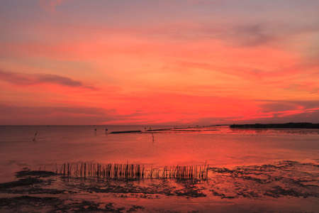 Beautiful sunset in the seaの写真素材