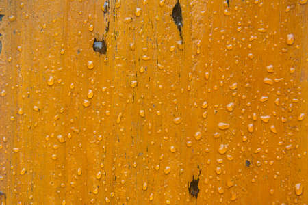 wet woodの写真素材