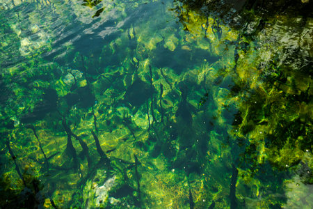green water hot spring (water surface)