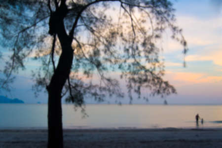 family on the sea and tree in evening (sunset sky)の写真素材