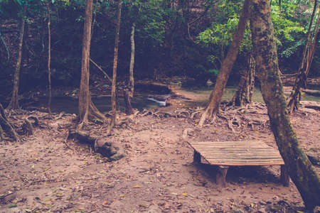 bamboo chair in nature (vintage style)の写真素材