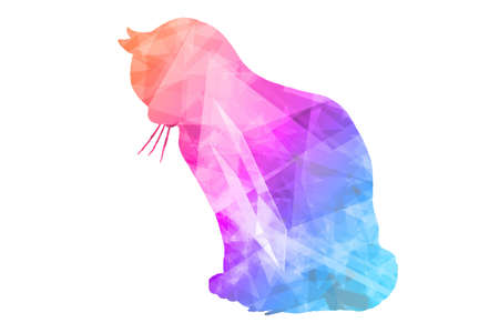 Colorful Polygonal  Cat on White Backgroundの写真素材