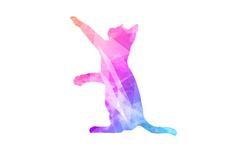 Colorful Polygonal  Cat on White Backgroundの写真素材