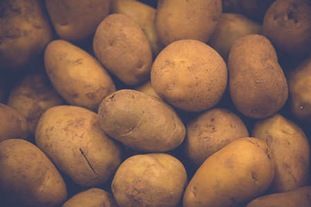 The vintage potato texture shallow style  (potatpo background)の写真素材